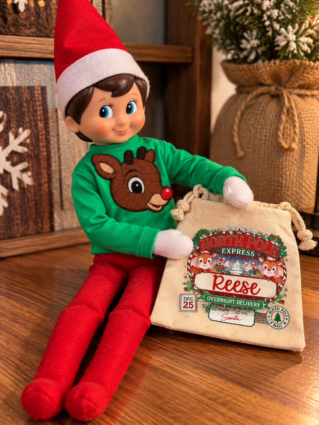 Elf Hoodie & Santa Bag